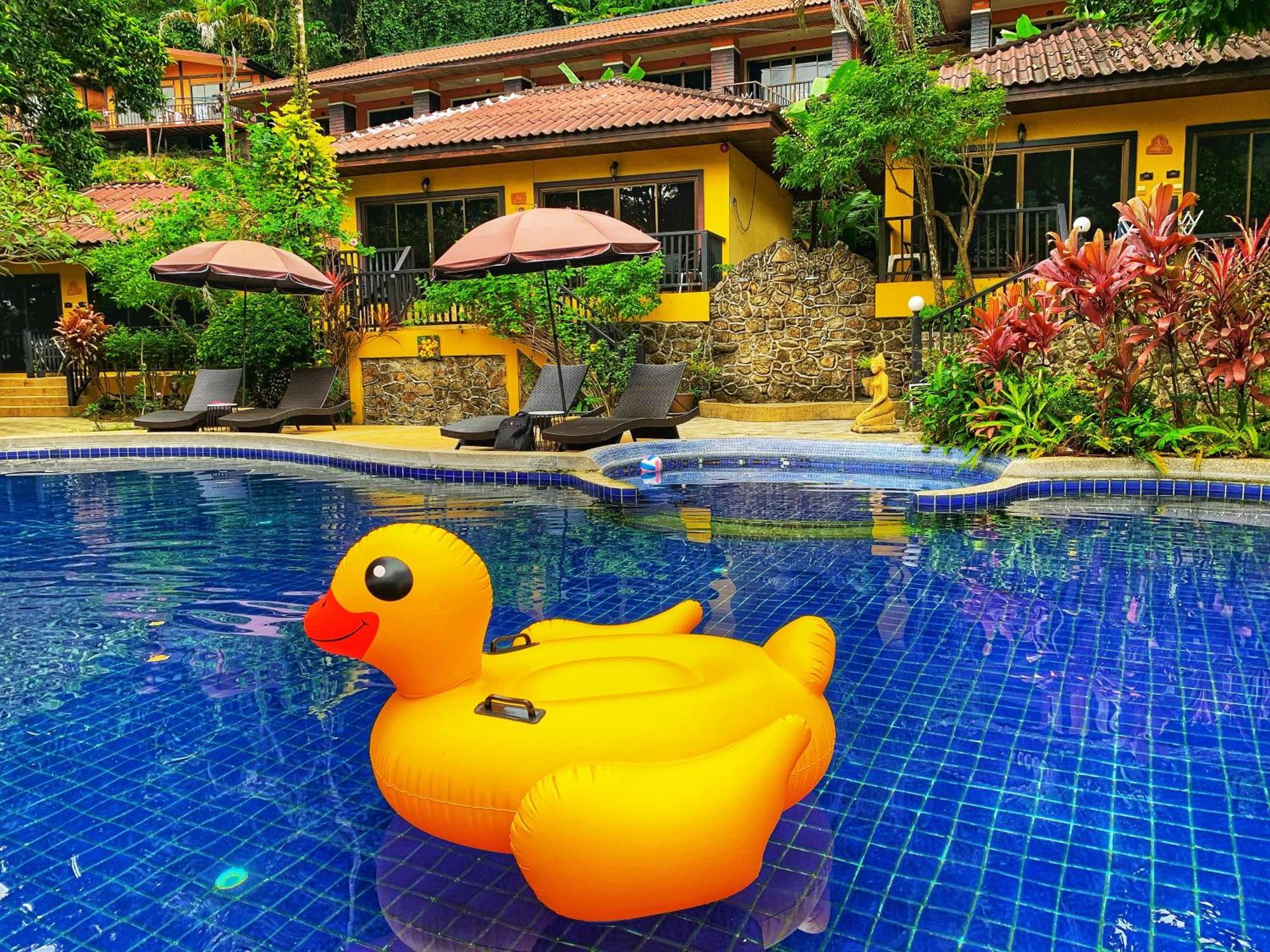 Beautiful Pool